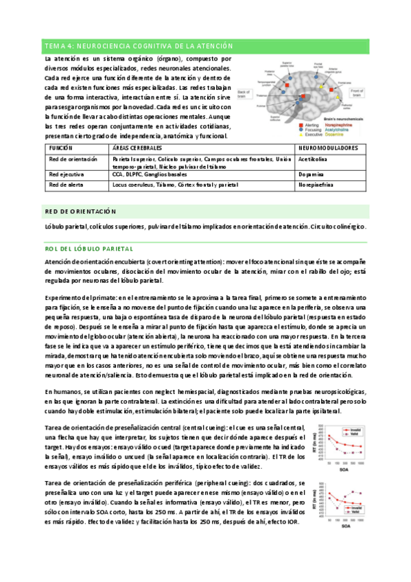 Miniatura del documento Tema-4-Atencion.pdf