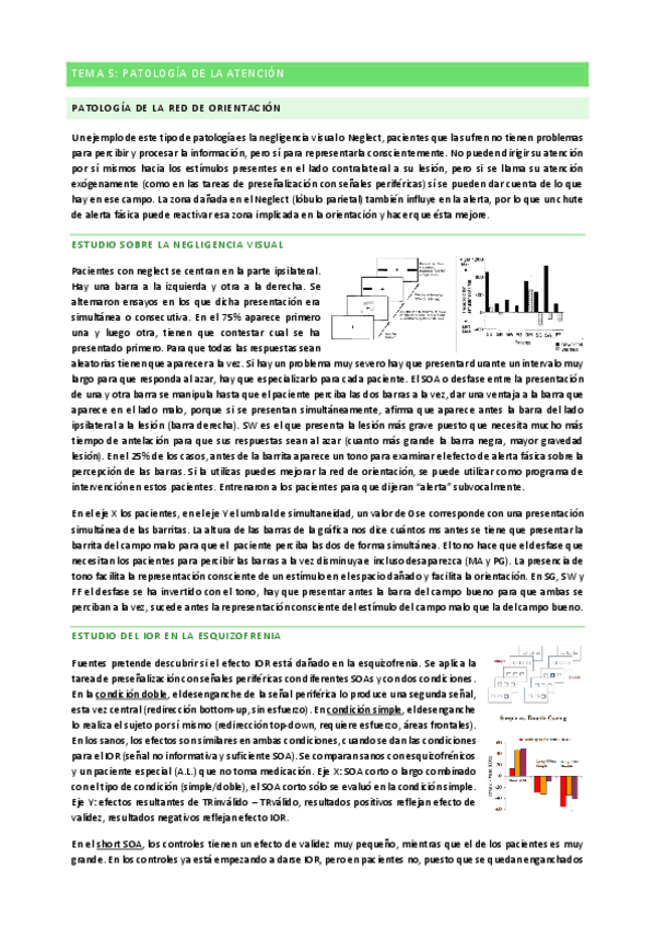Miniatura del documento Tema-5-Atencion.pdf