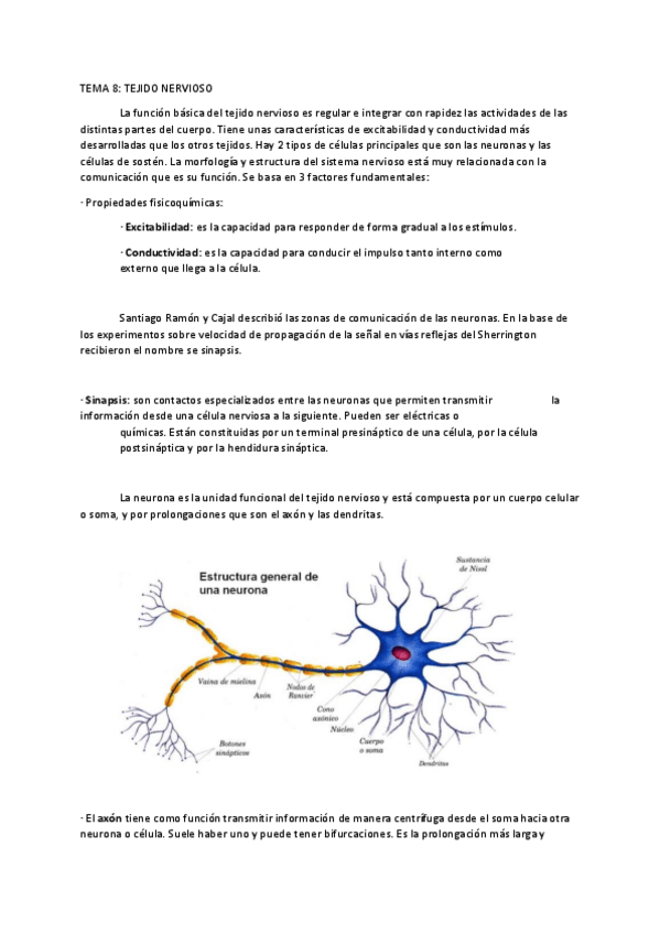 Miniatura del documento TEMA-8-TEJIDO-NERVIOSO.pdf