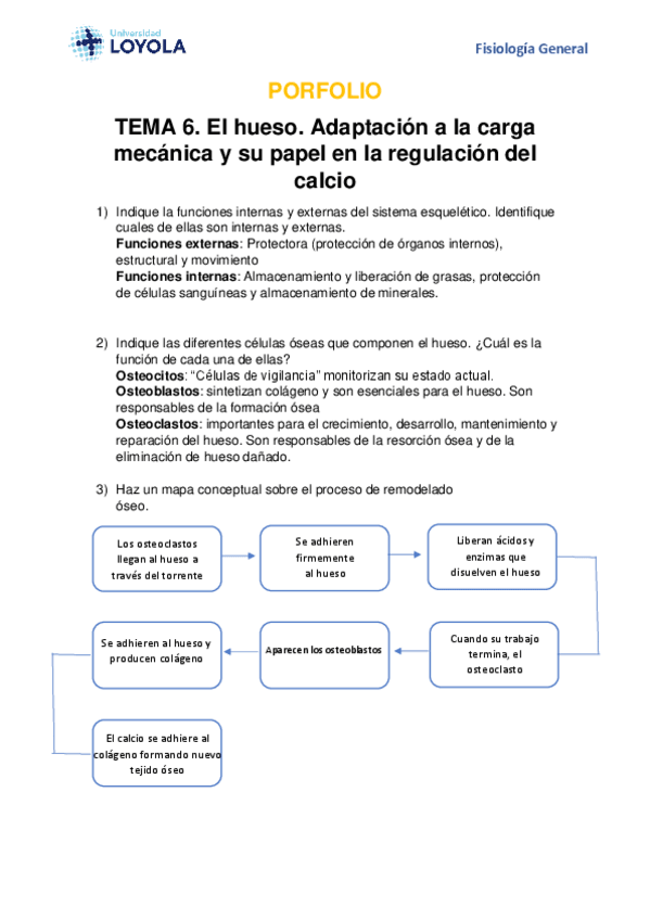 Miniatura del documento PORFOLIO-esqueletico-tema-6.pdf