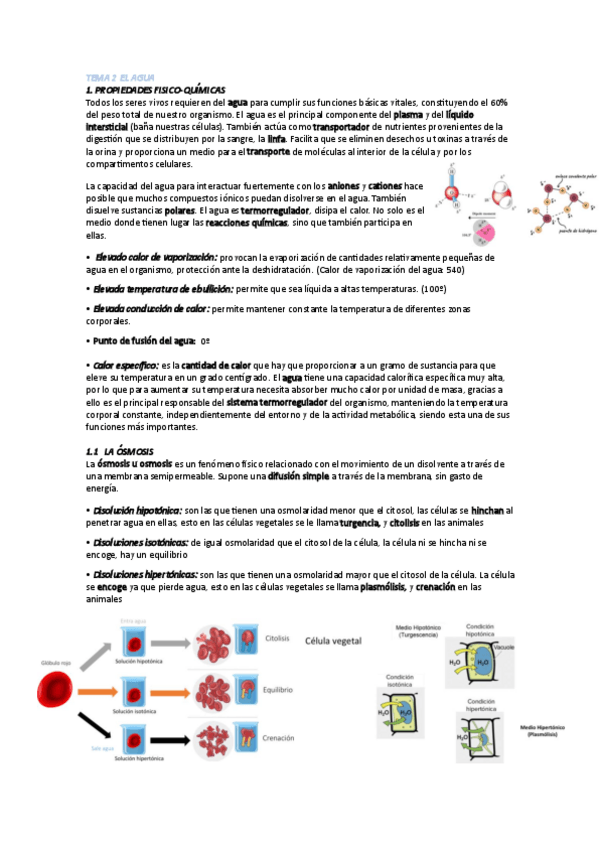 Miniatura del documento Tema-2.pdf