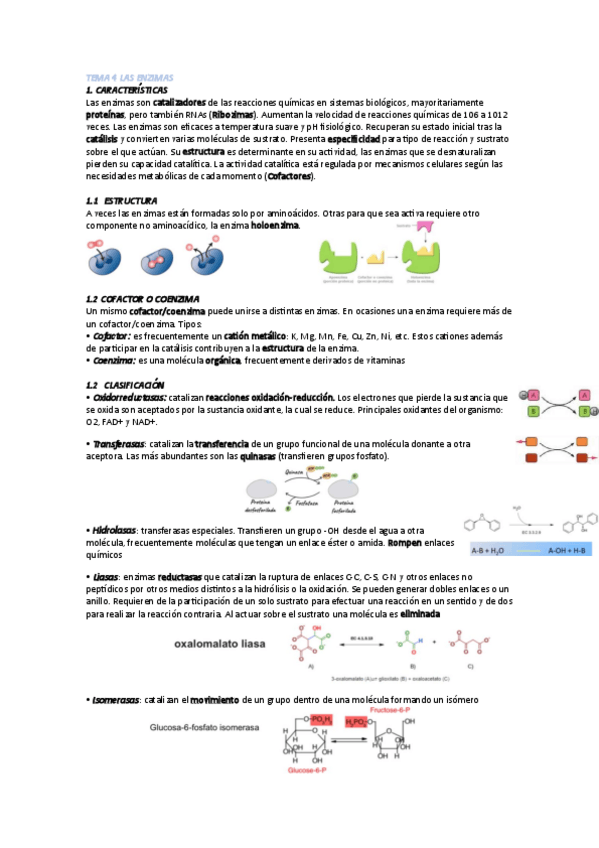 Miniatura del documento Tema-4.pdf