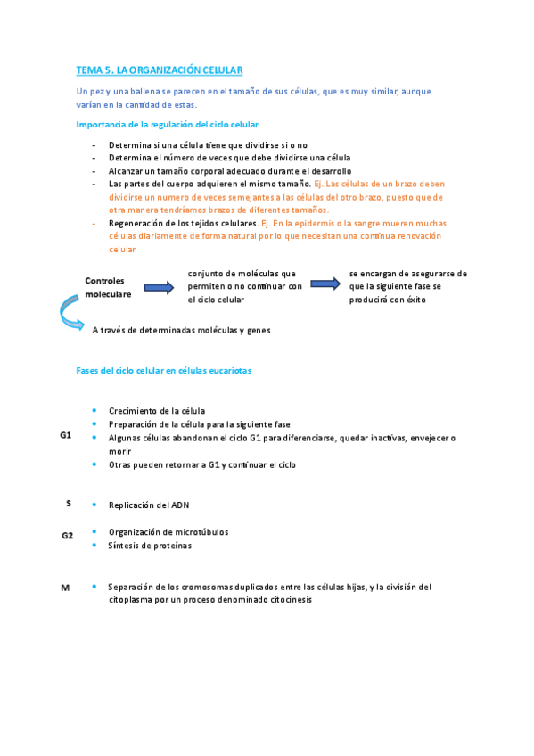 Miniatura del documento TEMA-5.-Organizacion-celular.pdf