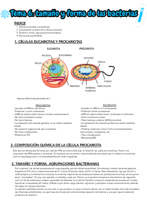 Miniatura del documento TEMA-6.pdf
