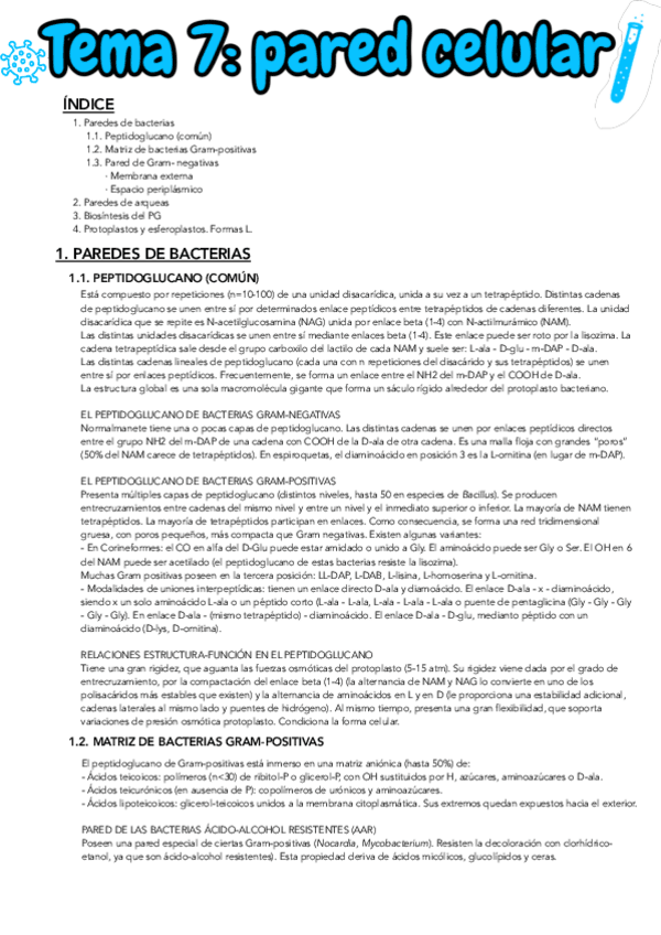 Miniatura del documento TEMA-7.pdf
