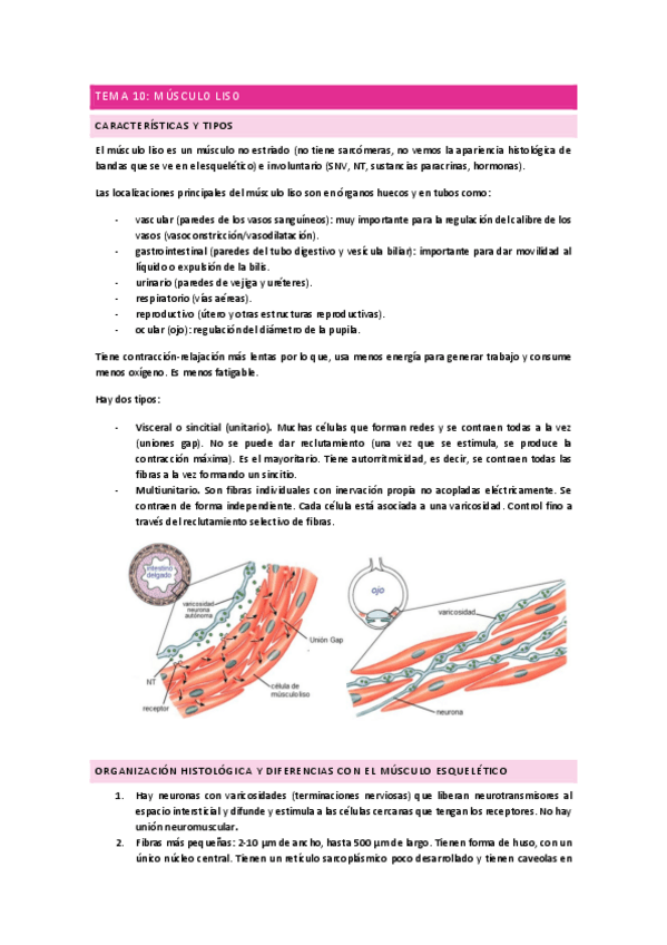 Miniatura del documento TEMA-10.pdf