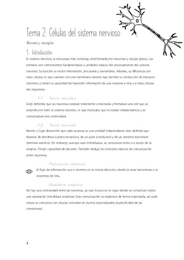Miniatura del documento Tema-2-Celulas-del-sistema-nervioso-Neuronas-y-neuroglias.pdf