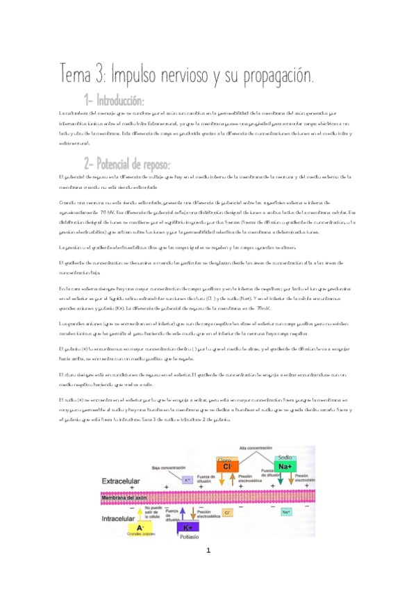Miniatura del documento Tema-3-Impulso-nervioso-y-su-propagacion.pdf