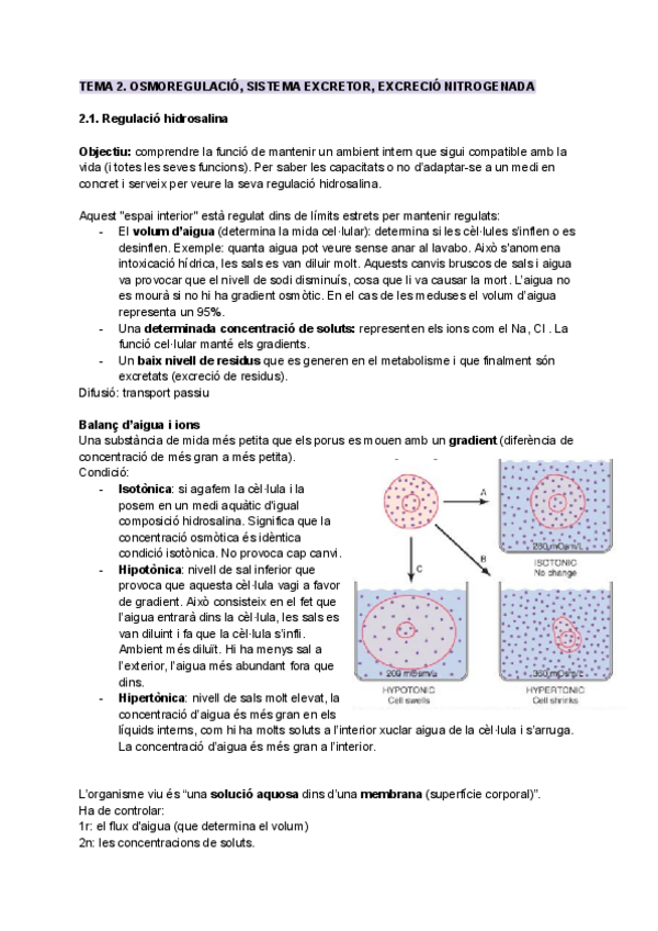 Miniatura del documento TEMA-2-OSMOREGULACIO-I-SISTEMA-EXCRECIO.pdf