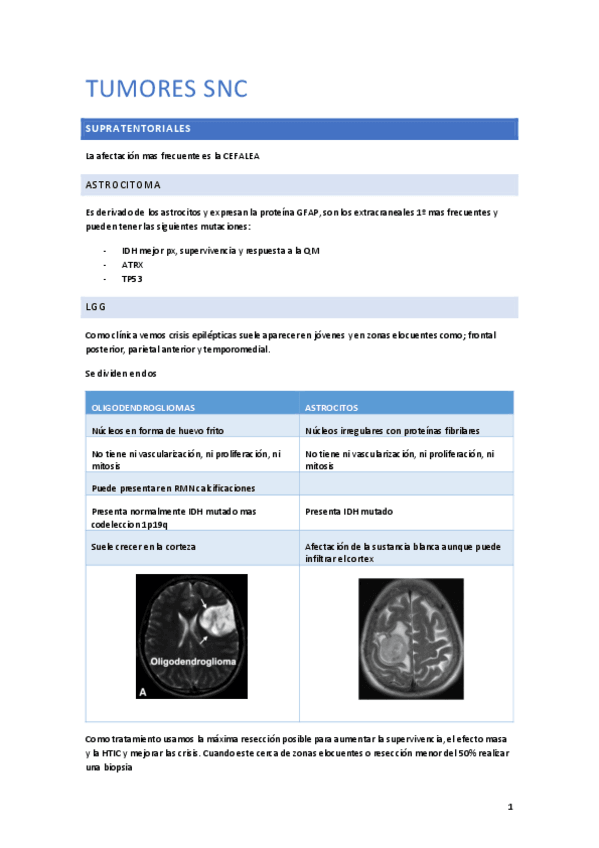 Miniatura del documento RESUMEN-TUMORES-SUPRA-E-INFRA.pdf