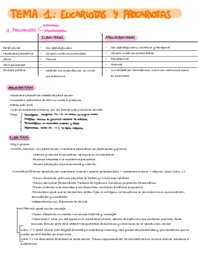 Miniatura del documento CELULAR-RESUMEN.pdf