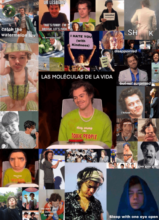 Miniatura del documento BIOLOGIA-BLOQUE-1.pdf