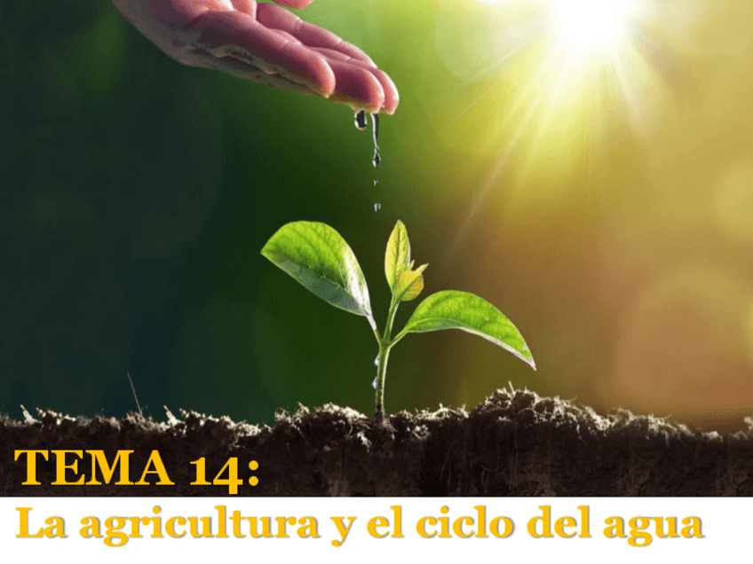 Miniatura del documento CTMA-T13-Ciclo-del-agua.pdf