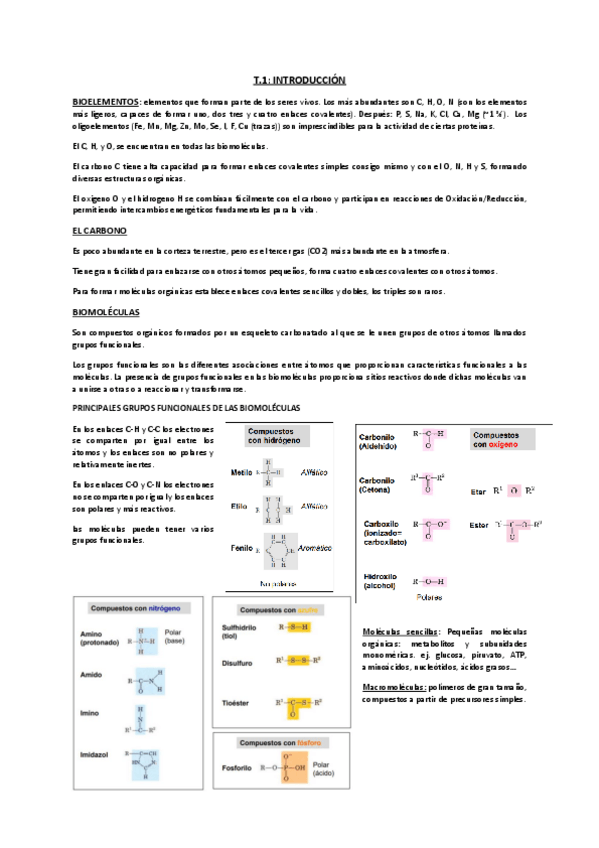 Miniatura del documento BIOQUIMICA-ESTRUCTURAL.pdf