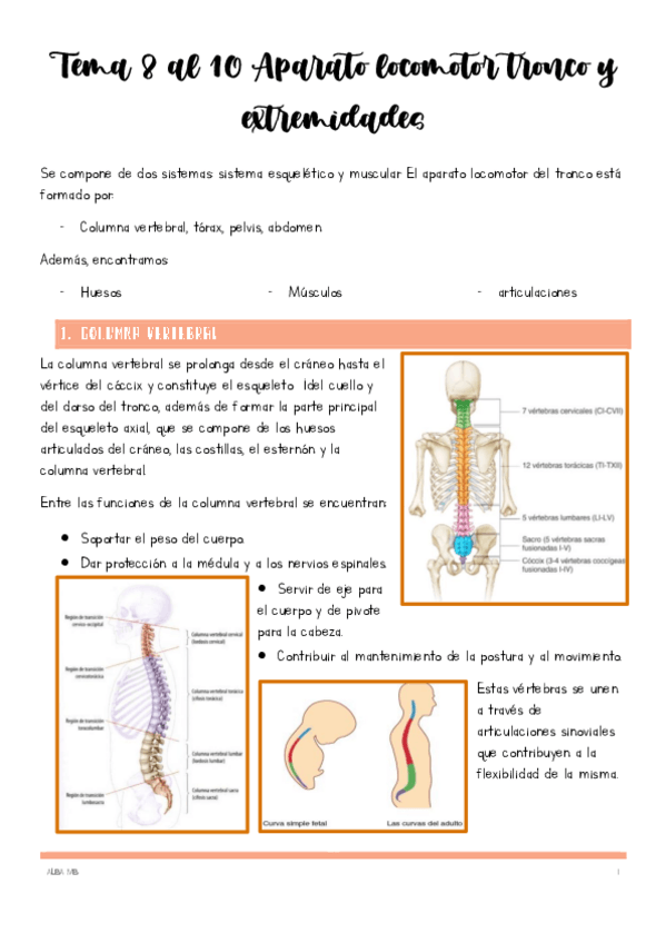 Miniatura del documento Tema-8-al-10-Aparato-locomotor-tronco-y-extremidades.pdf