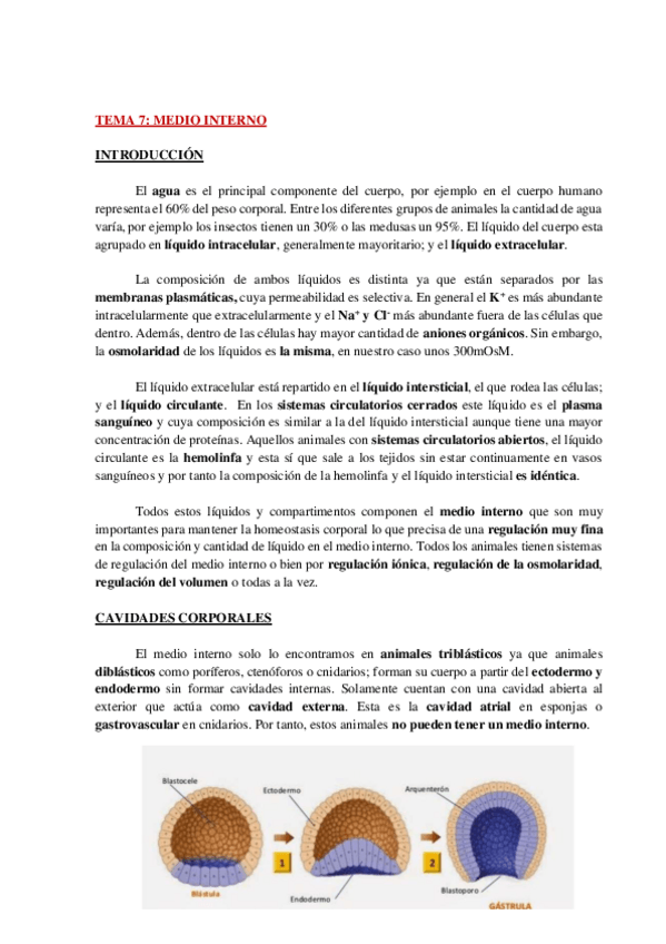 Miniatura del documento AP-FISIO-ANIMAL-COMPARADA-TEMA-7-WH.pdf