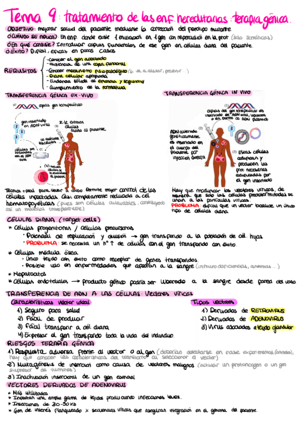 Miniatura del documento Apuntes-Tema-9.pdf