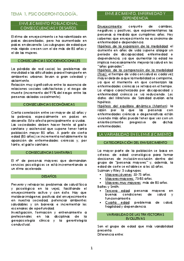 Miniatura del documento resumen-tercera-edad.pdf