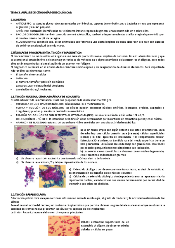 Miniatura del documento TEMA-3-GINE.pdf