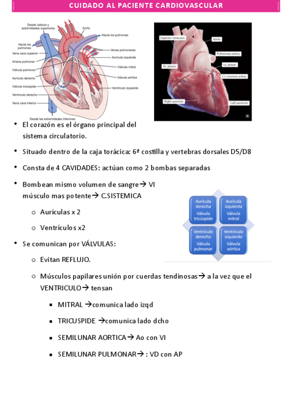 Miniatura del documento CARDIO.pdf