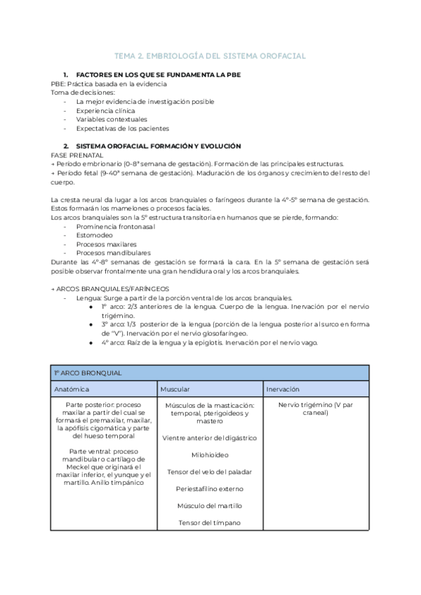 Miniatura del documento Tema-2.-Embriologia-del-sistema-orofacial.pdf