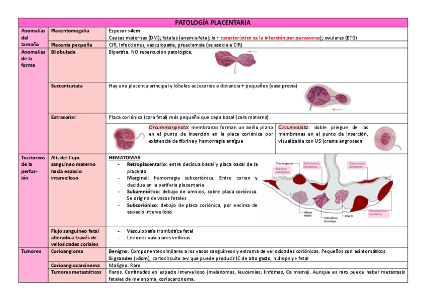 Miniatura del documento Patología placentaria, del cordón y líquido amniótico.pdf