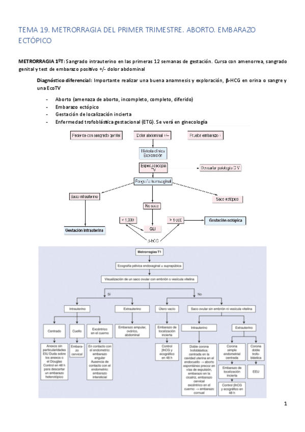 Miniatura del documento Metrorragia del 1º trimestre.pdf
