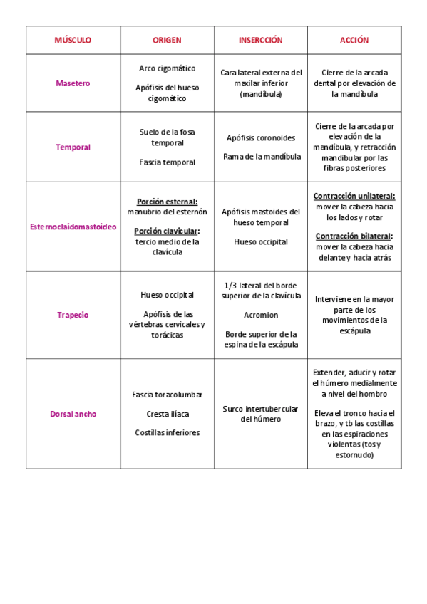 Miniatura del documento TABLA-MUSCULOS-T2.pdf