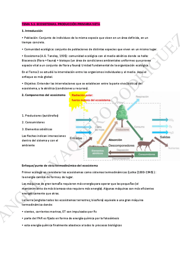 Miniatura del documento ECOLOGIA-TEMA-5-y-6-ECOSISTEMAS-PPNmedicion-PPN-cadenas-y-redes-troficas-ciclos-biogeoquimicos-sucesiones-E-IMPACTO-DEL-HOMBRE.pdf