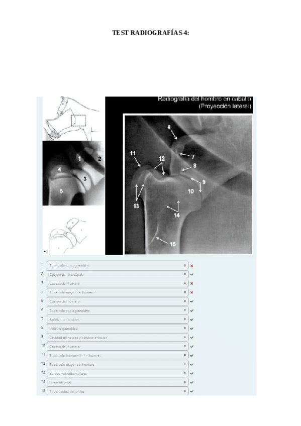 Miniatura del documento TEST-4-Radiografias-corregido.pdf
