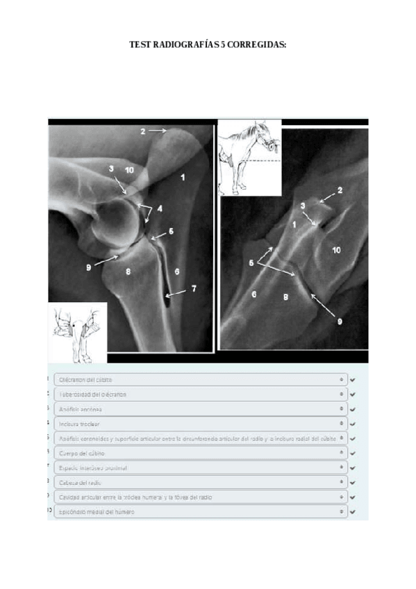 Miniatura del documento TEST-5-Radiografias-corregido.pdf