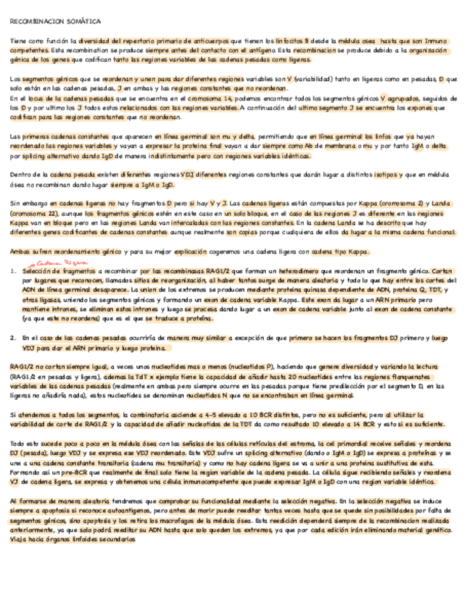Miniatura del documento Recombinacion-Somatica-VDJ.pdf