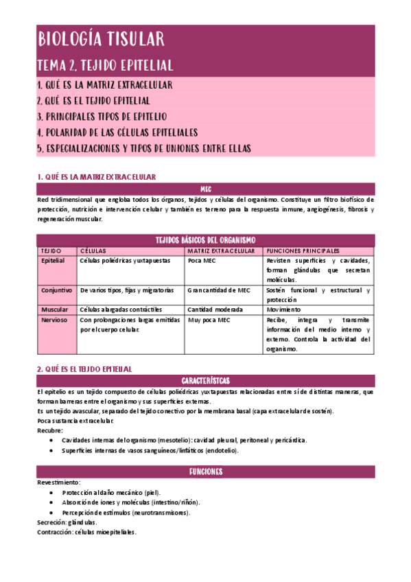 Miniatura del documento TEJIDO-EPITELIAL.pdf