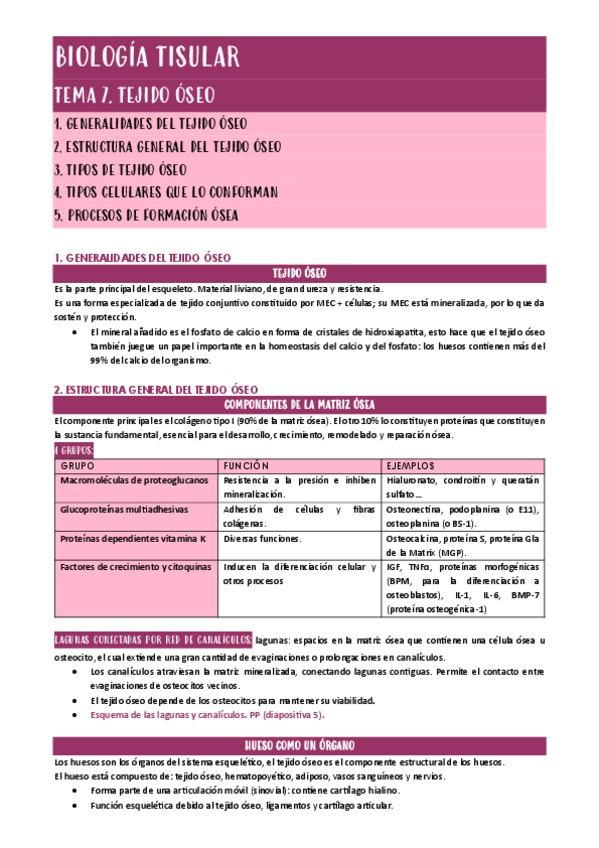 Miniatura del documento TEJIDO-OSEO.pdf