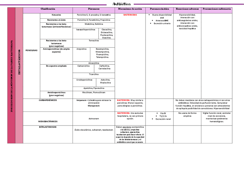 Miniatura del documento RESUMEN-ANTIBIOTICOS.pdf