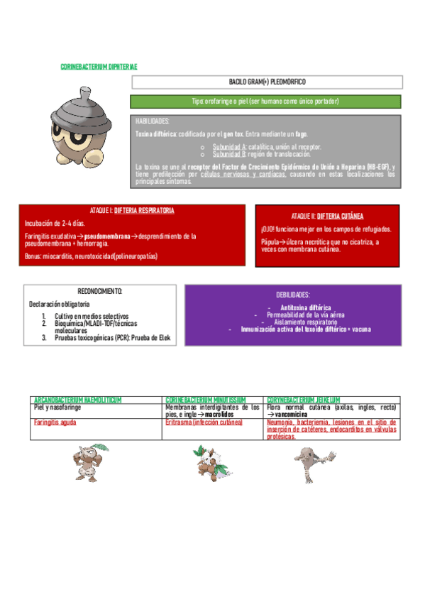 Miniatura del documento Bacilos-gram-con-cartas-Pokemon.pdf