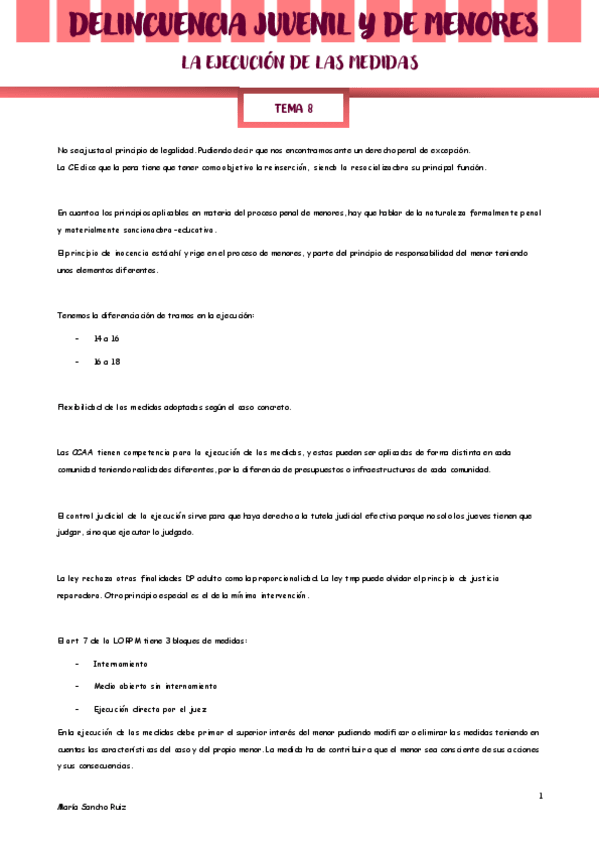 Miniatura del documento TEMA-8-LA-EJECUCION.pdf