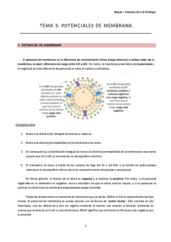 Miniatura del documento Tema-3.pdf