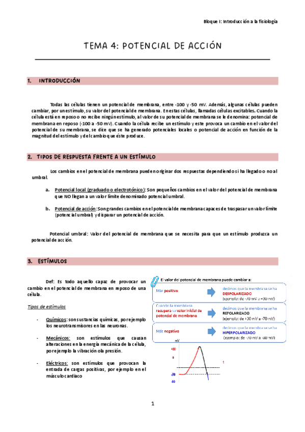 Miniatura del documento Tema-4.pdf