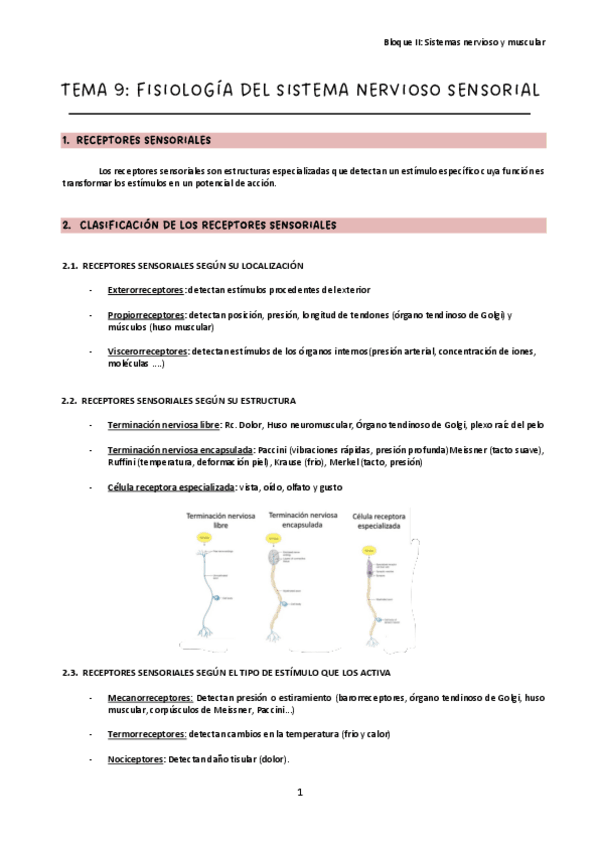 Miniatura del documento Tema-9.pdf