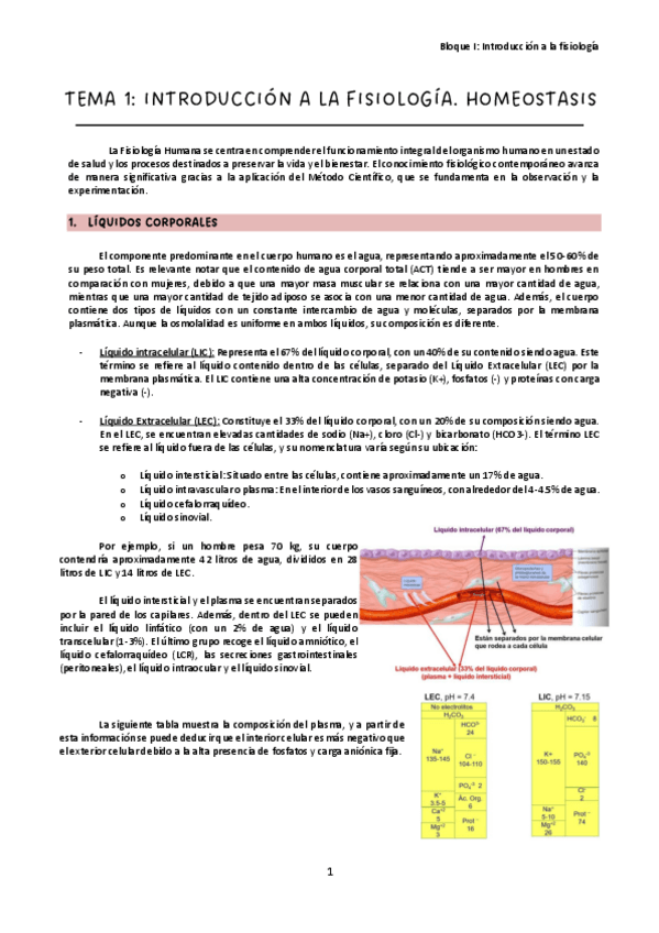 Miniatura del documento Tema-1.pdf