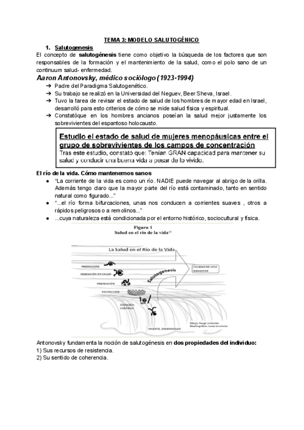 Miniatura del documento TEMA-3-Modelo-Salutogenico-PS-1.pdf