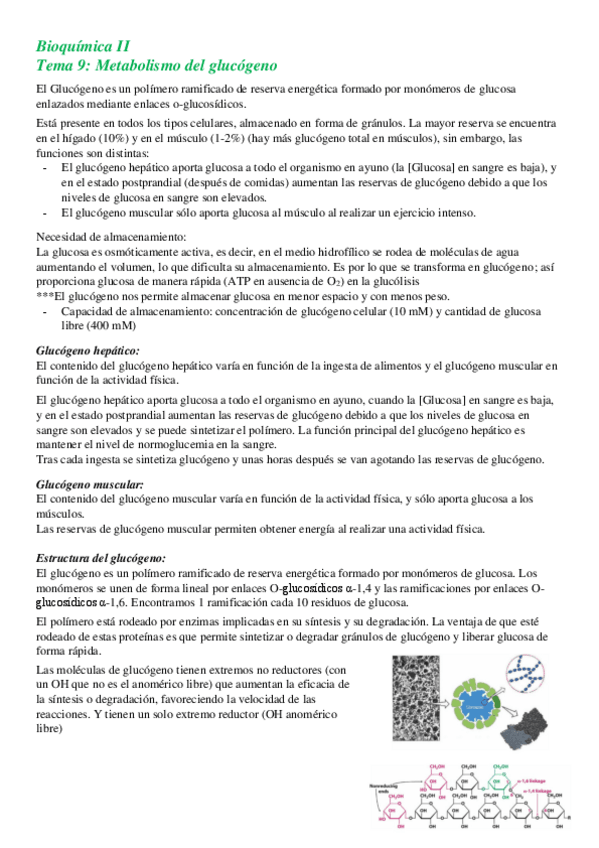 Miniatura del documento T9-Metabolismo-del-glucogeno.pdf