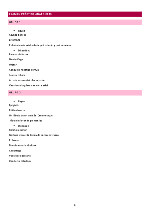 Miniatura del documento examen-anato-practico-2023.pdf