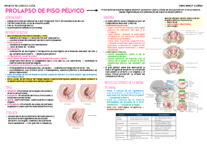 Miniatura del documento Prolapso-de-piso-pelvico.pdf