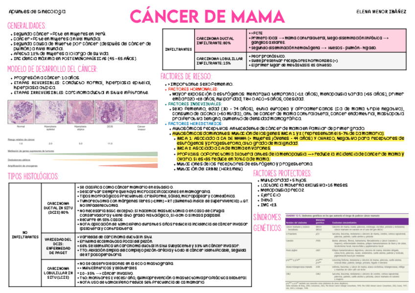 Miniatura del documento CANCER-DE-MAMA.pdf