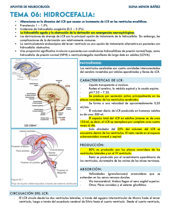 Miniatura del documento Hidrocefalia.pdf