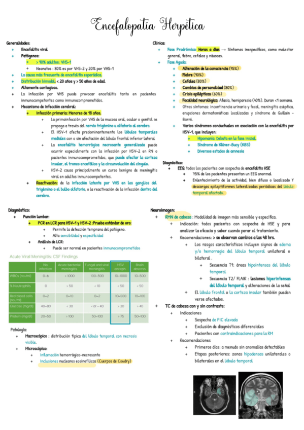 Miniatura del documento ENCEFALITIS-HERPETICA.pdf