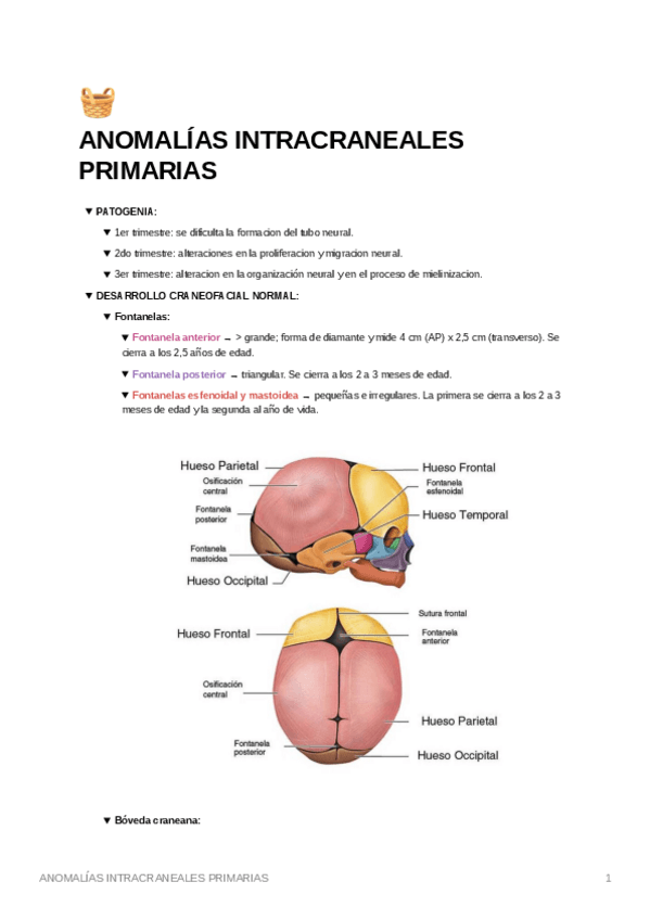 Miniatura del documento Anomalias-intracraneales-primarias.pdf