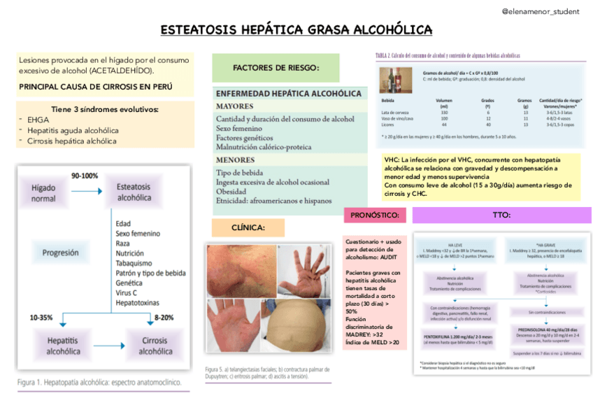Miniatura del documento Esteatosis-hepatica-alcoholica.pdf